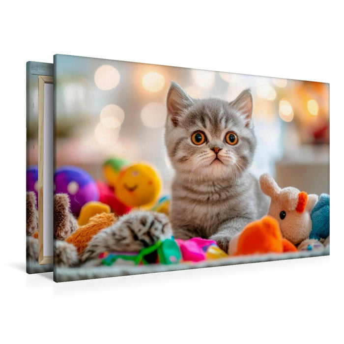 Premium Textil-Leinwand Kätzchen im Spielzeugparadies