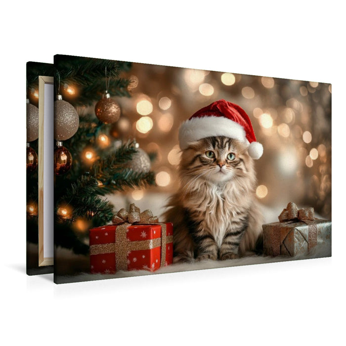 Premium Textil-Leinwand Weihnachtszauber auf Samtpfoten
