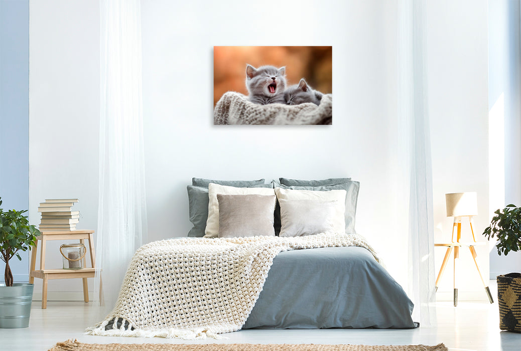 Premium Textil-Leinwand Kleine Auszeit