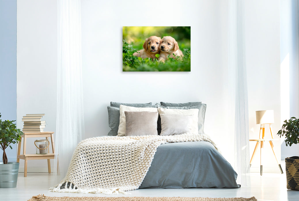 Premium Textil-Leinwand Golden-Retriever-Freunde