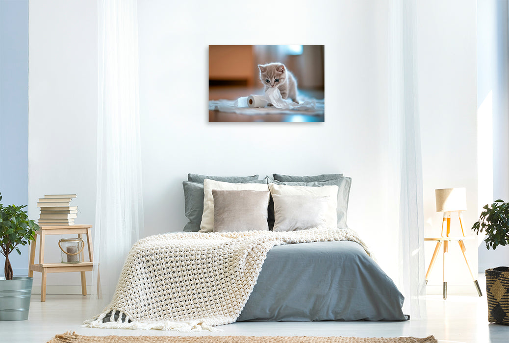 Premium Textil-Leinwand Chaos kann so süß sein