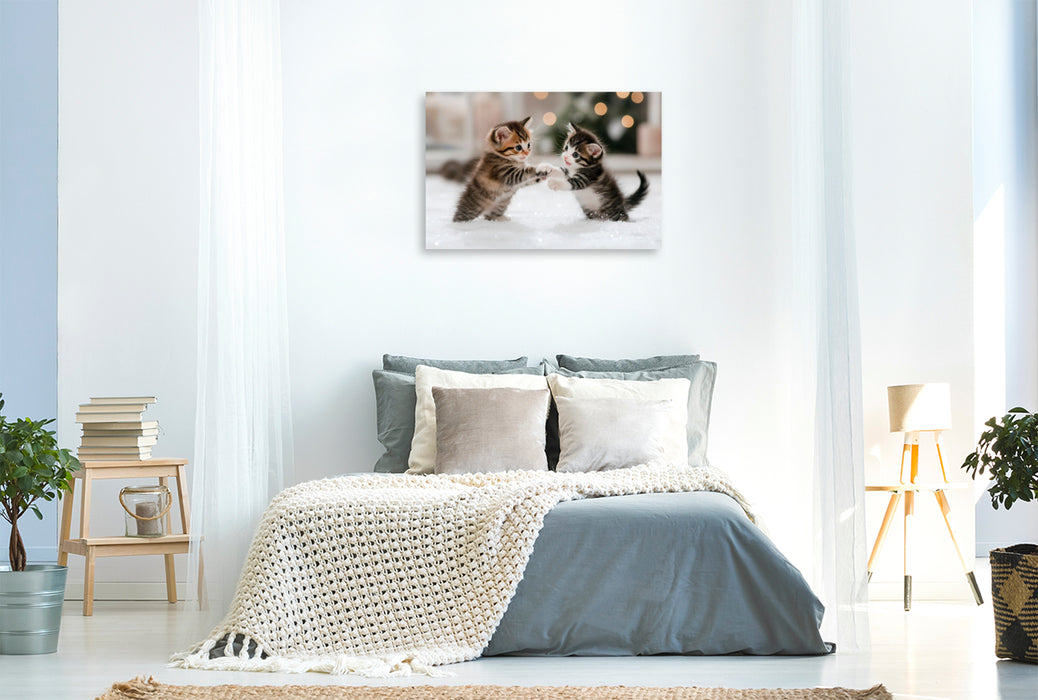 Premium Textil-Leinwand Kätzchen im Winterzauber