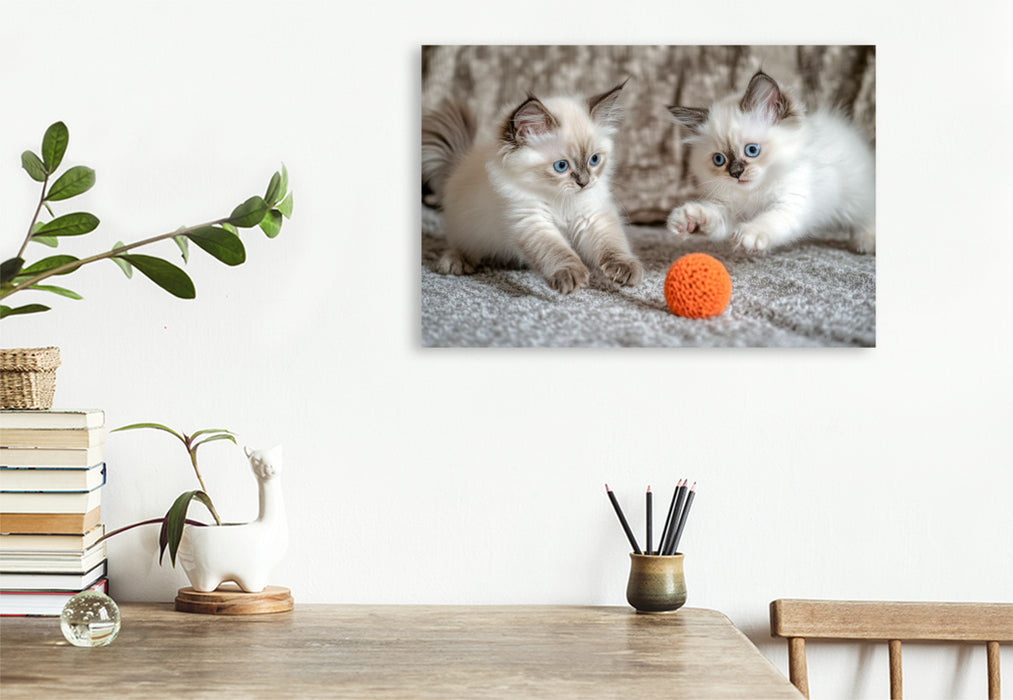 Premium Textil-Leinwand Spieltrieb pur