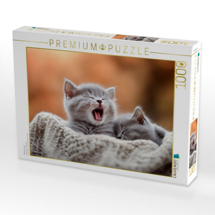 Kleine Auszeit - CALVENDO Foto-Puzzle'