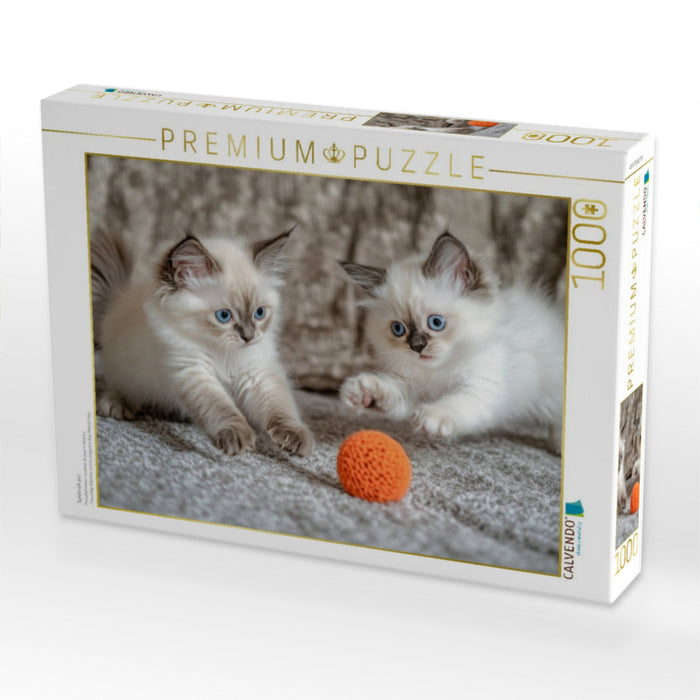 Spieltrieb pur - CALVENDO Foto-Puzzle'