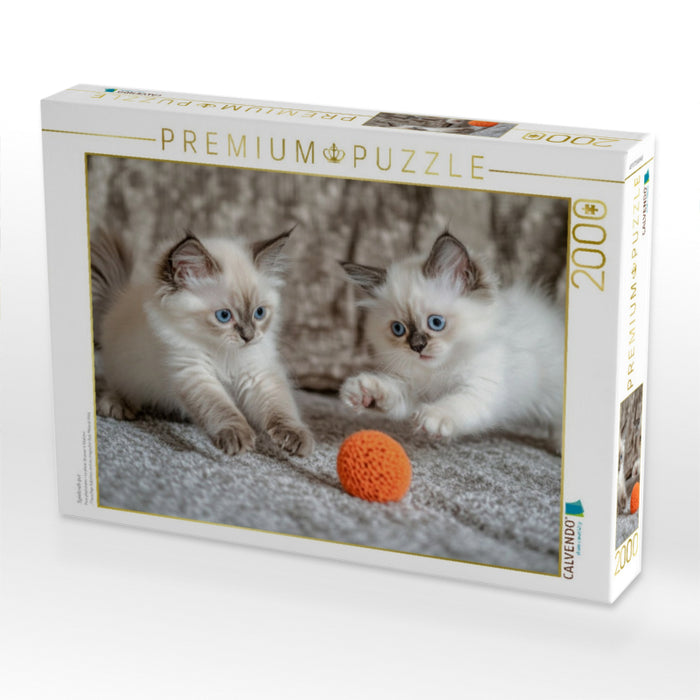 Spieltrieb pur - CALVENDO Foto-Puzzle'