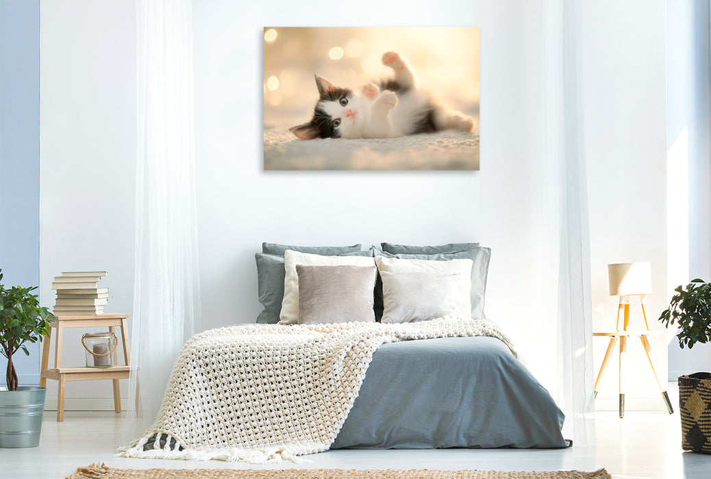 Premium Textil-Leinwand Herzensbrecher auf vier Pfoten