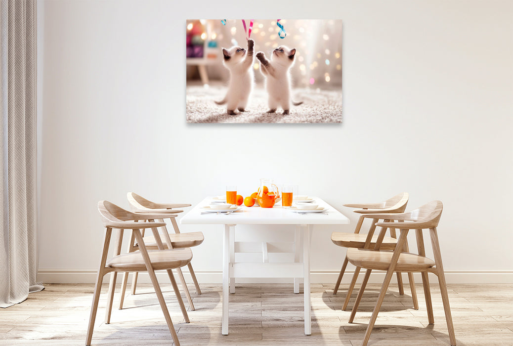 Premium Textil-Leinwand Verspielte Katzenbabys