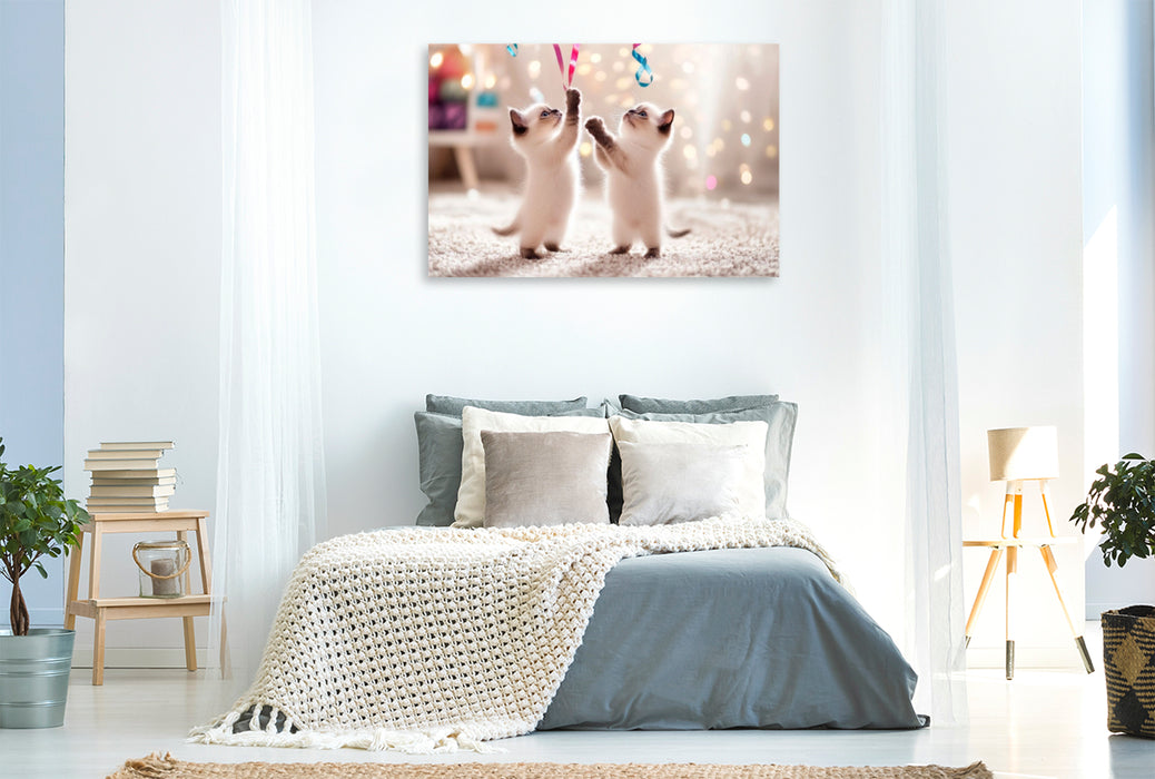 Premium Textil-Leinwand Verspielte Katzenbabys
