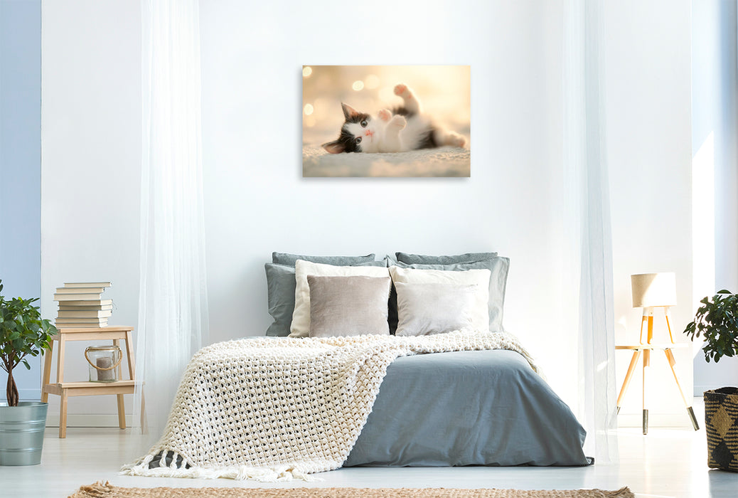 Premium Textil-Leinwand Herzensbrecher auf vier Pfoten