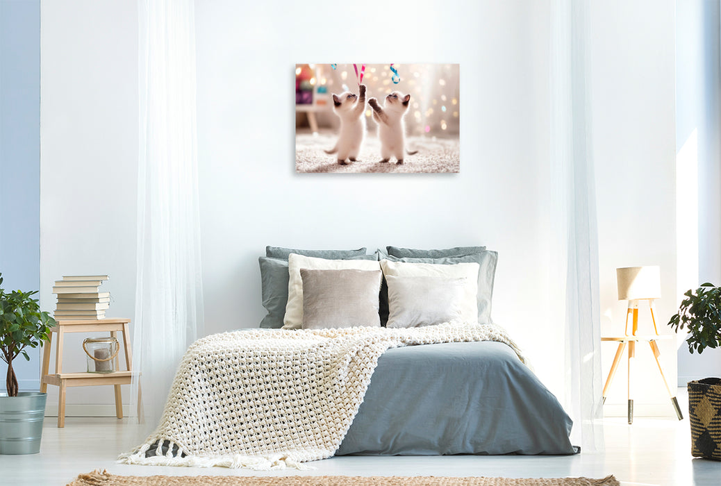 Premium Textil-Leinwand Verspielte Katzenbabys