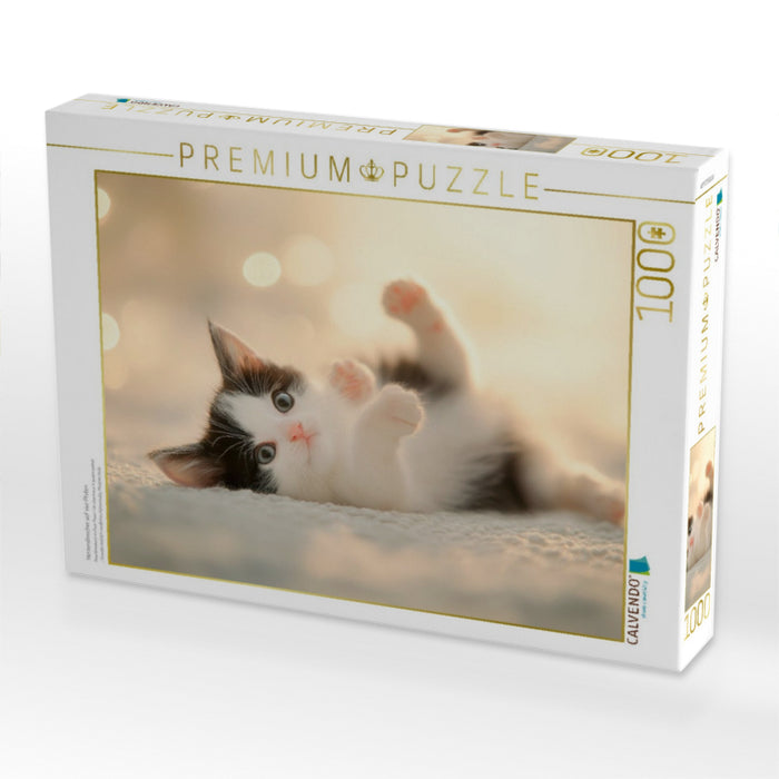 Herzensbrecher auf vier Pfoten - CALVENDO Foto-Puzzle'