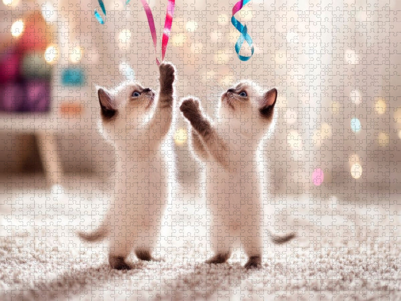 Verspielte Katzenbabys - CALVENDO Foto-Puzzle'