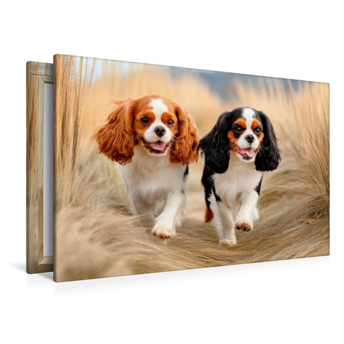 Premium Textil-Leinwand Cavalier King Charles Spaniel - Abenteuer im Dünengras
