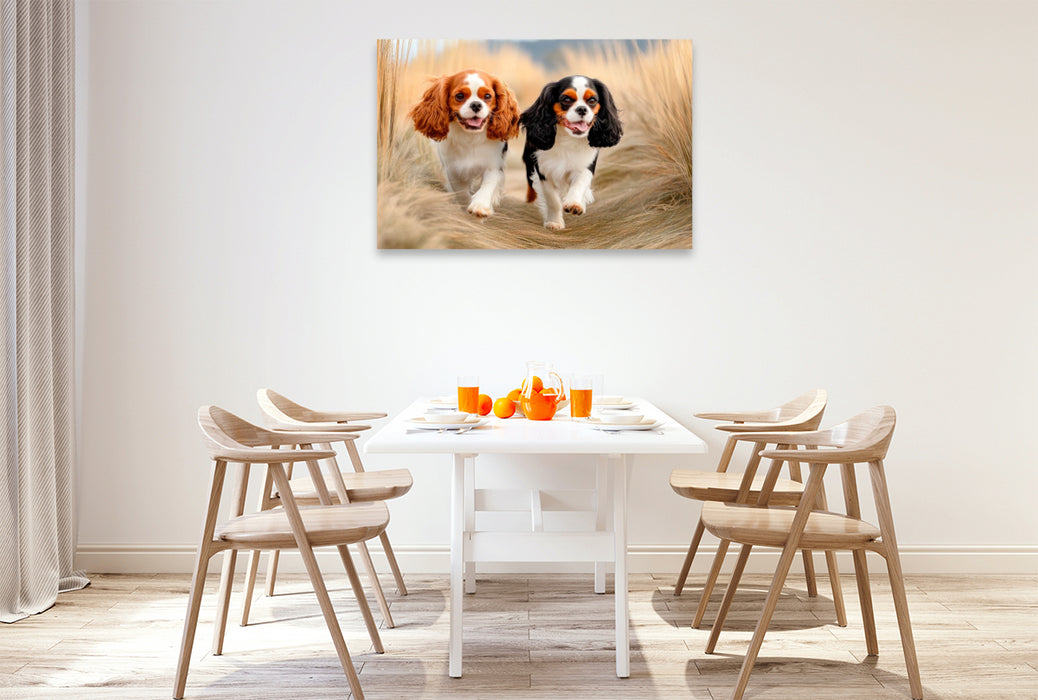 Premium Textil-Leinwand Cavalier King Charles Spaniel - Abenteuer im Dünengras
