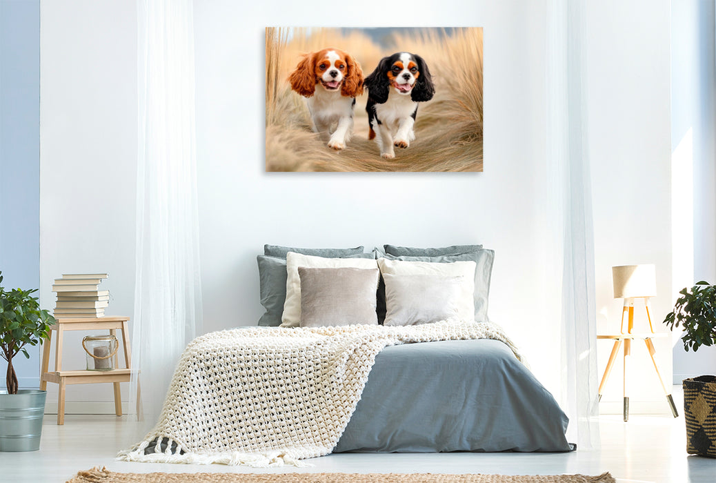 Premium Textil-Leinwand Cavalier King Charles Spaniel - Abenteuer im Dünengras