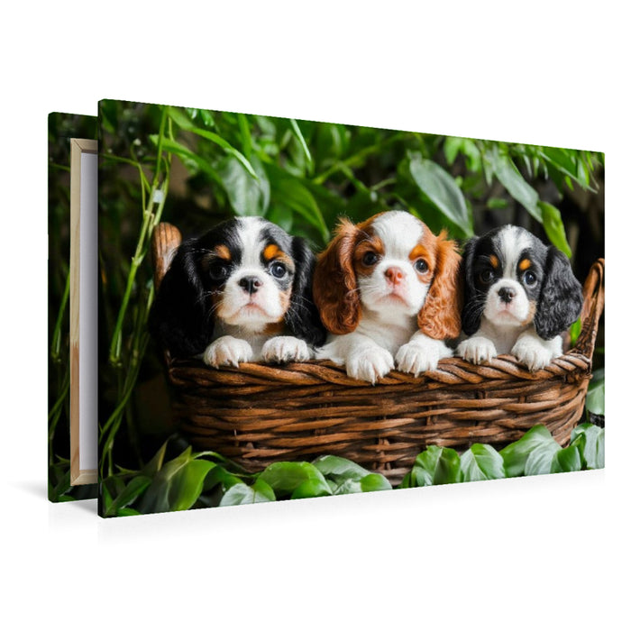 Premium Textil-Leinwand Süße Cavalier King Charles Spaniel Welpen