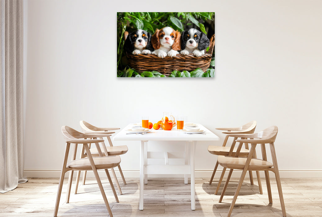 Premium Textil-Leinwand Süße Cavalier King Charles Spaniel Welpen