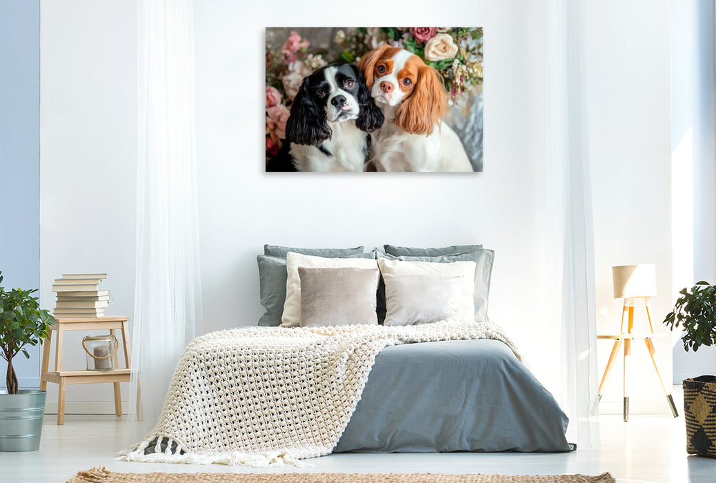 Premium Textil-Leinwand Cavalier King Charles Spaniel - Harmonie zu zweit