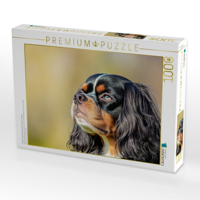 Cavalier King Charles Spaniel – Eine treue Seele - CALVENDO Foto-Puzzle'
