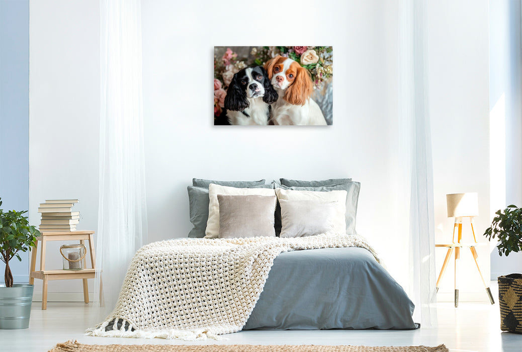 Premium Textil-Leinwand Cavalier King Charles Spaniel - Harmonie zu zweit