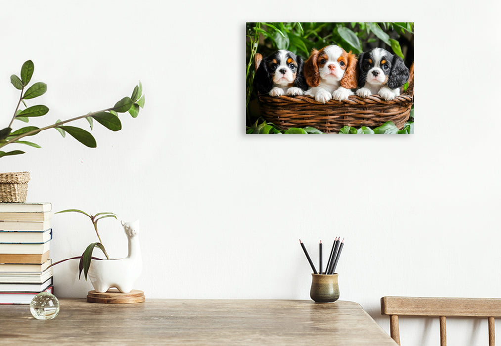 Premium Textil-Leinwand Süße Cavalier King Charles Spaniel Welpen