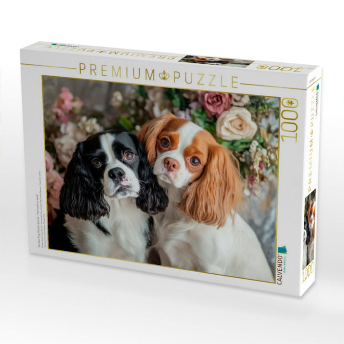 Cavalier King Charles Spaniel - Harmonie zu zweit - CALVENDO Foto-Puzzle'