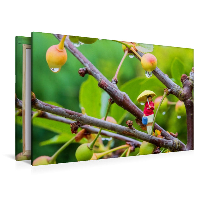 Premium Textil-Leinwand Regen im Kirschbaum