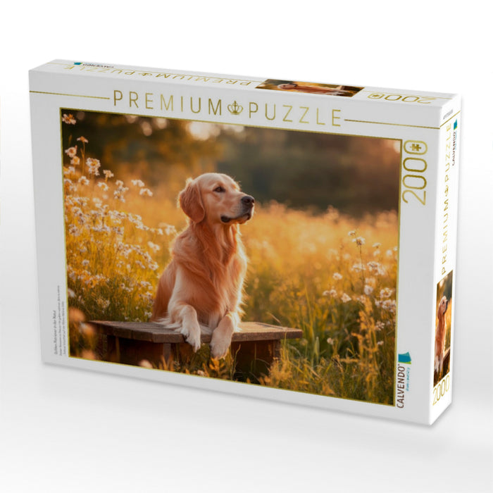 Golden Retriever in der Natur - CALVENDO Foto-Puzzle'