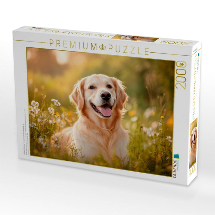 Golden Retriever im sommerlichen Abendlicht - CALVENDO Foto-Puzzle'