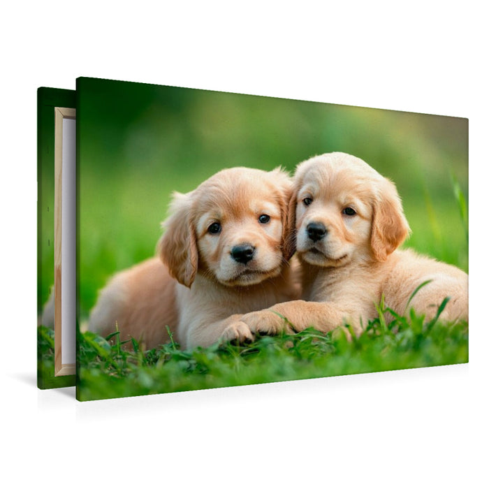 Premium Textil-Leinwand Golden Retriever Freunde fürs leben