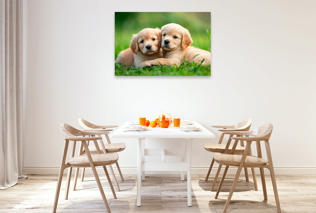 Premium Textil-Leinwand Golden Retriever Freunde fürs leben