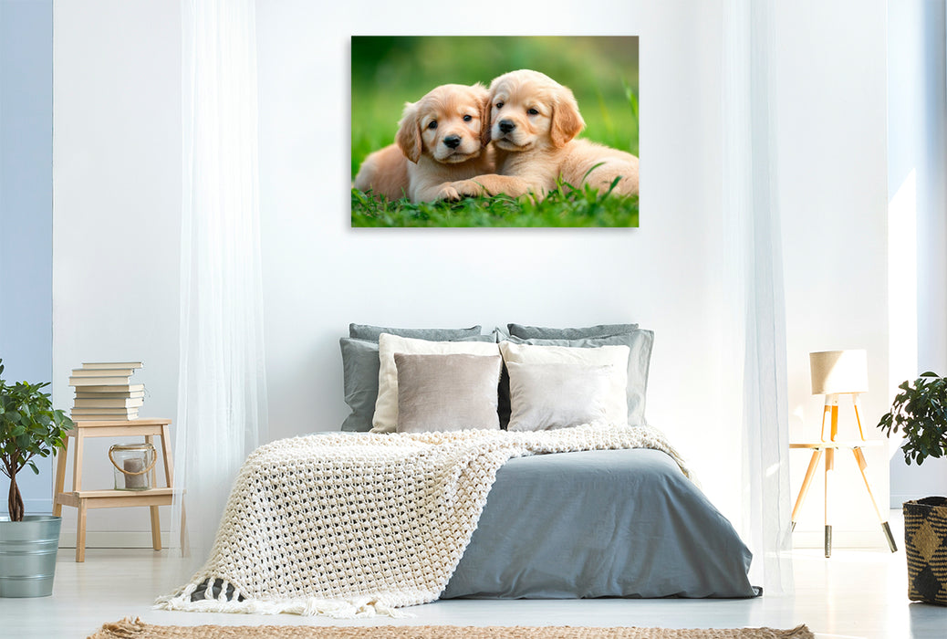 Premium Textil-Leinwand Golden Retriever Freunde fürs leben