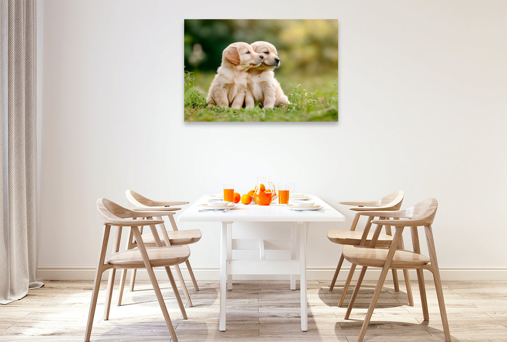 Premium Textil-Leinwand Süße Golden Retriever Welpen