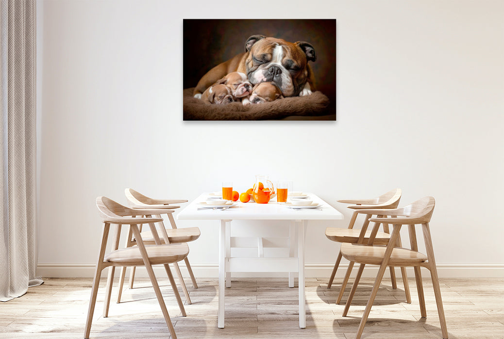 Premium Textil-Leinwand Süße Englische Bulldoggen Familie