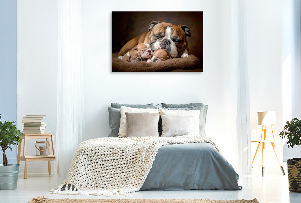 Premium Textil-Leinwand Süße Englische Bulldoggen Familie