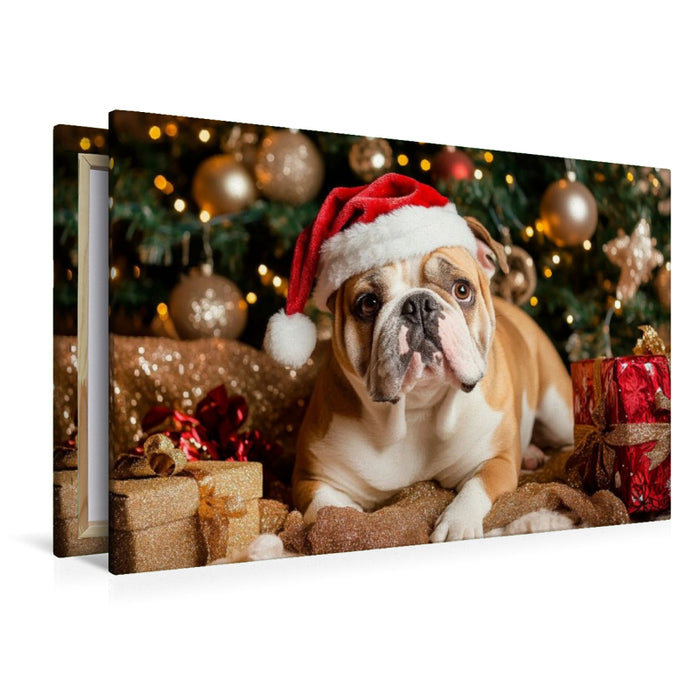 Premium Textil-Leinwand Englische Bulldogge im Weihnachtszauber