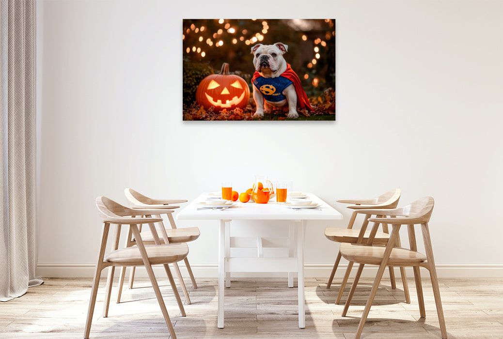 Premium Textil-Leinwand Englische Bulldogge als Halloween Superheld