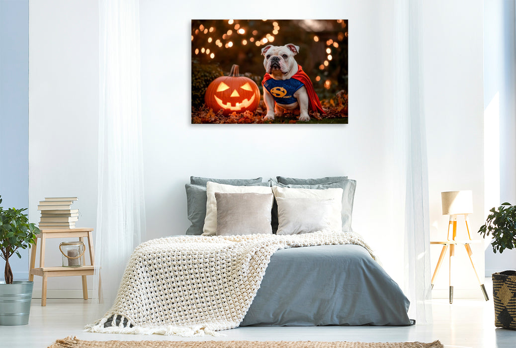 Premium Textil-Leinwand Englische Bulldogge als Halloween Superheld