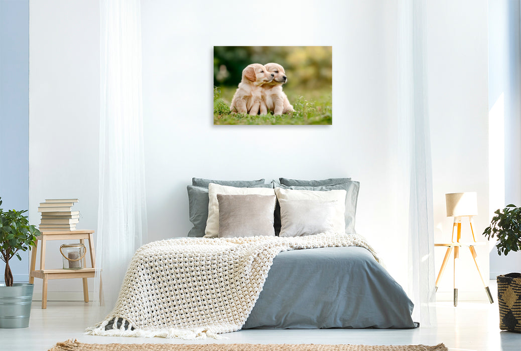Premium Textil-Leinwand Süße Golden Retriever Welpen