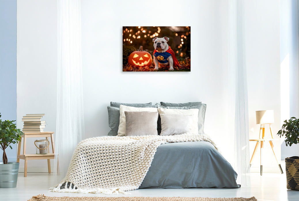 Premium Textil-Leinwand Englische Bulldogge als Halloween Superheld
