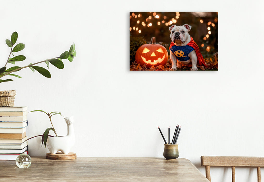Premium Textil-Leinwand Englische Bulldogge als Halloween Superheld