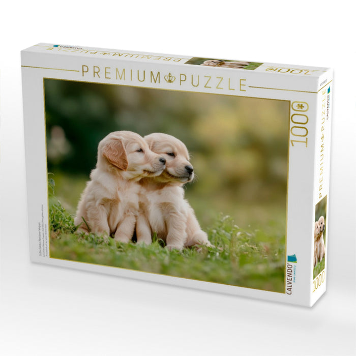 Süße Golden Retriever Welpen - CALVENDO Foto-Puzzle'