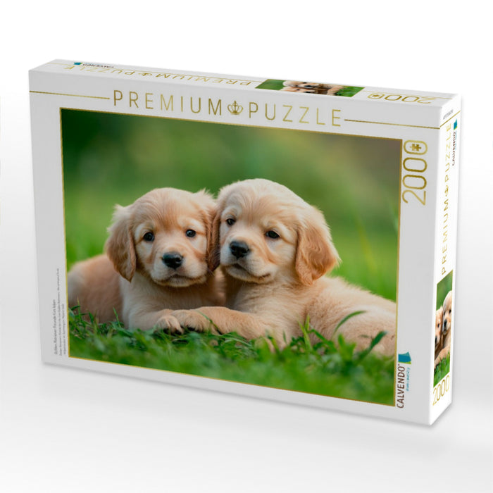 Golden Retriever Freunde fürs leben - CALVENDO Foto-Puzzle'
