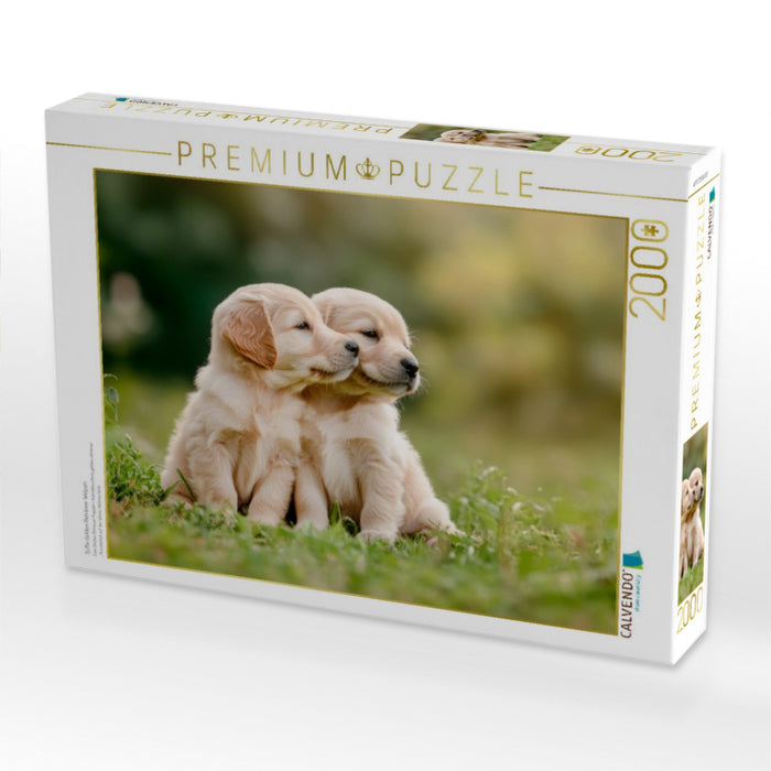 Süße Golden Retriever Welpen - CALVENDO Foto-Puzzle'