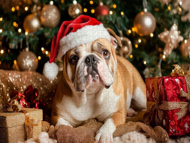 Englische Bulldogge im Weihnachtszauber - CALVENDO Foto-Puzzle'