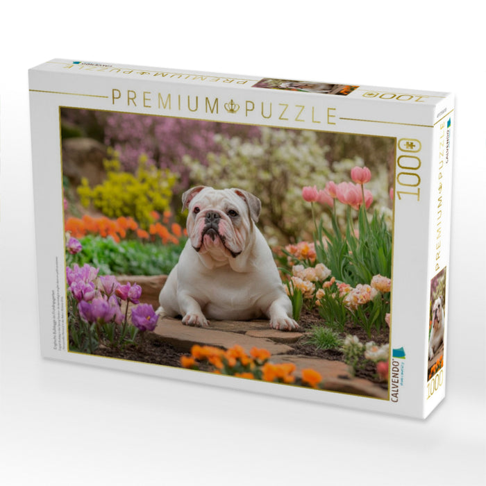 Englische Bulldogge im Frühlingsgarten - CALVENDO Foto-Puzzle'