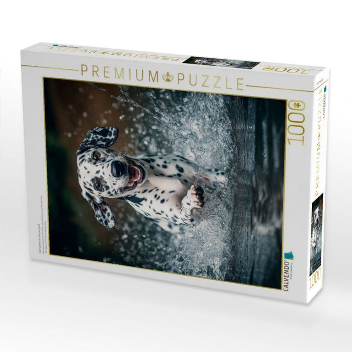 Dalmatiner im Wasserspaß - CALVENDO Foto-Puzzle'