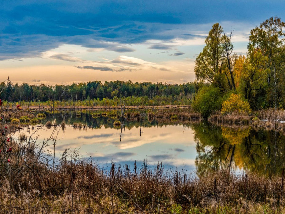 Das Schwenninger Moos - CALVENDO Foto-Puzzle'