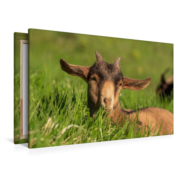 Premium Textil-Leinwand Sonnenbaden